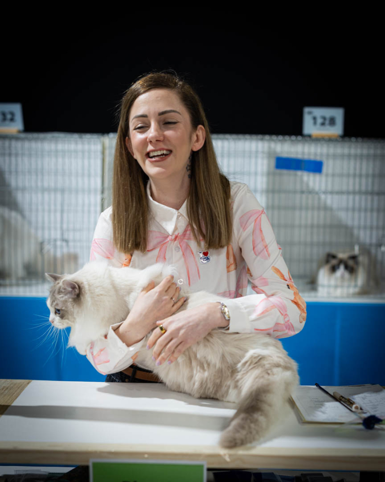 ragdolls-thames-tica-cat-show-apr-2026-69 ragdolls-thames-tica-cat-show-apr-2026-69