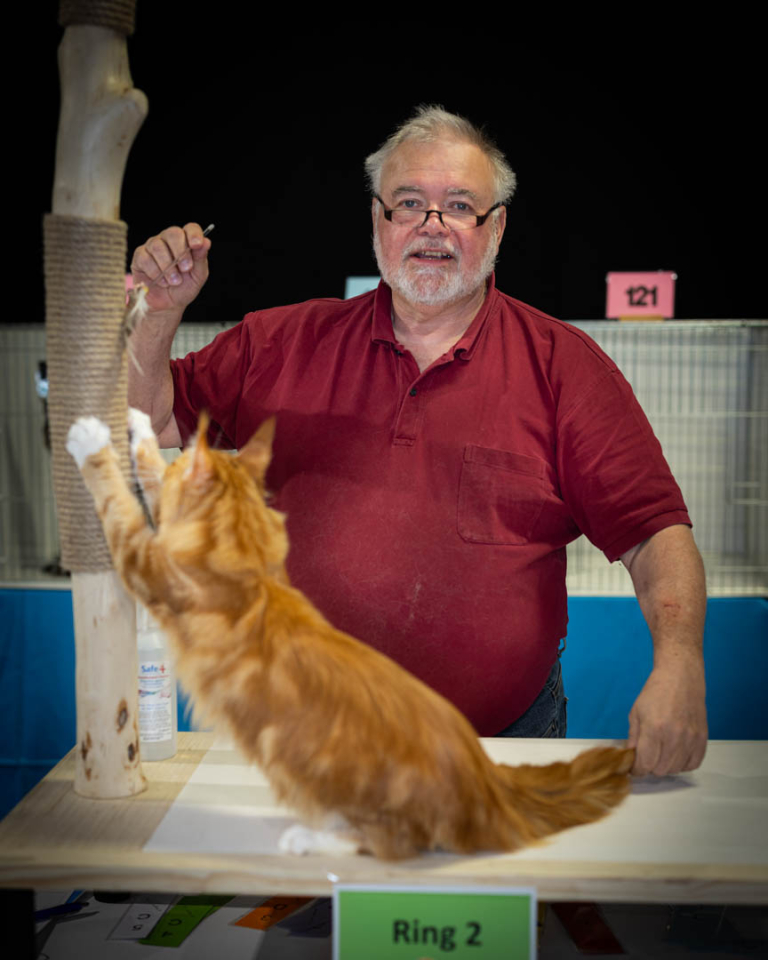 ragdolls-thames-tica-cat-show-apr-2026-09 ragdolls-thames-tica-cat-show-apr-2026-09