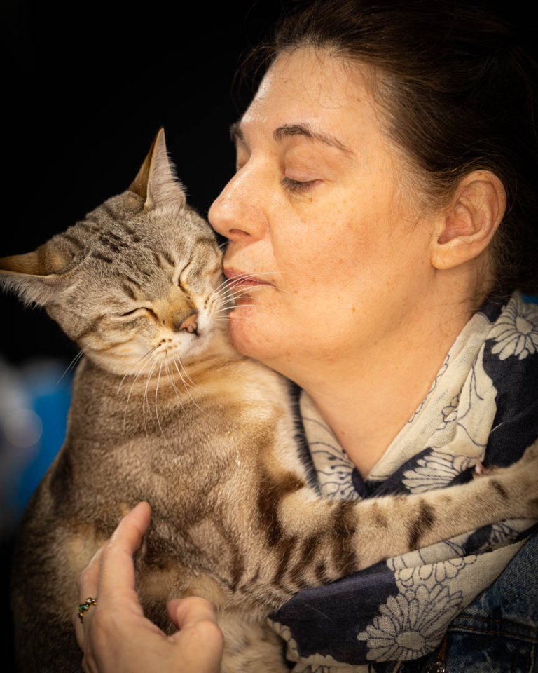 ragdolls-thames-tica-cat-show-apr-2026-34 ragdolls-thames-tica-cat-show-apr-2026-34