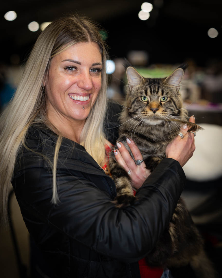 ragdolls-thames-tica-cat-show-apr-2026-05 ragdolls-thames-tica-cat-show-apr-2026-05