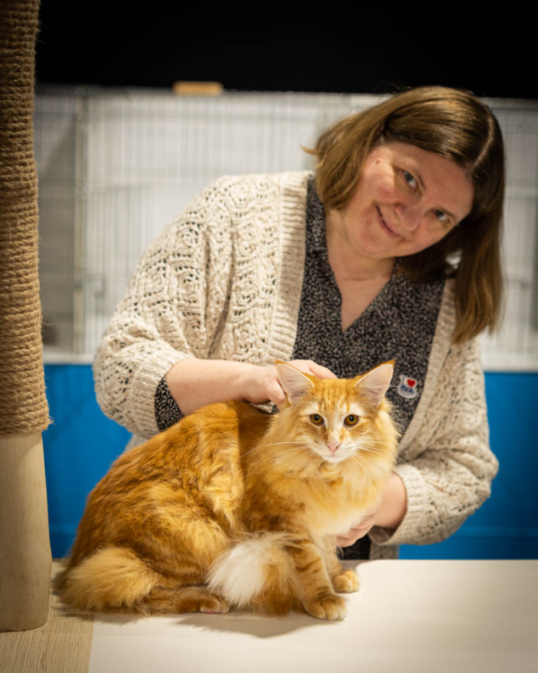 ragdolls-thames-tica-cat-show-apr-2026-26 ragdolls-thames-tica-cat-show-apr-2026-26