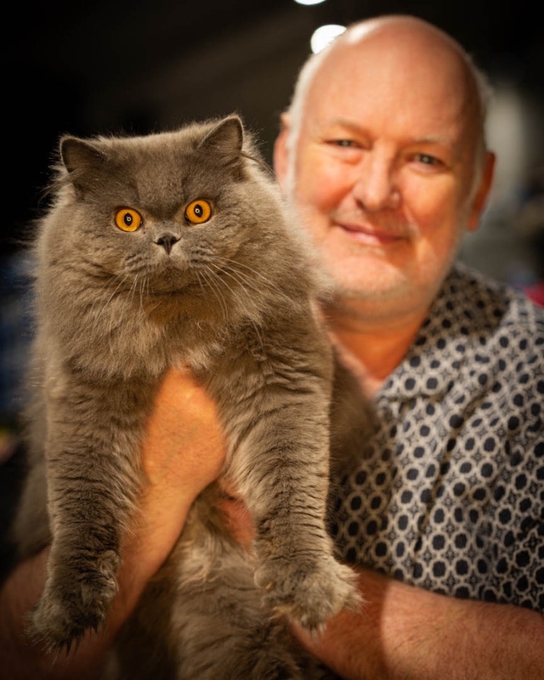 ragdolls-thames-tica-cat-show-apr-2026-43 ragdolls-thames-tica-cat-show-apr-2026-43