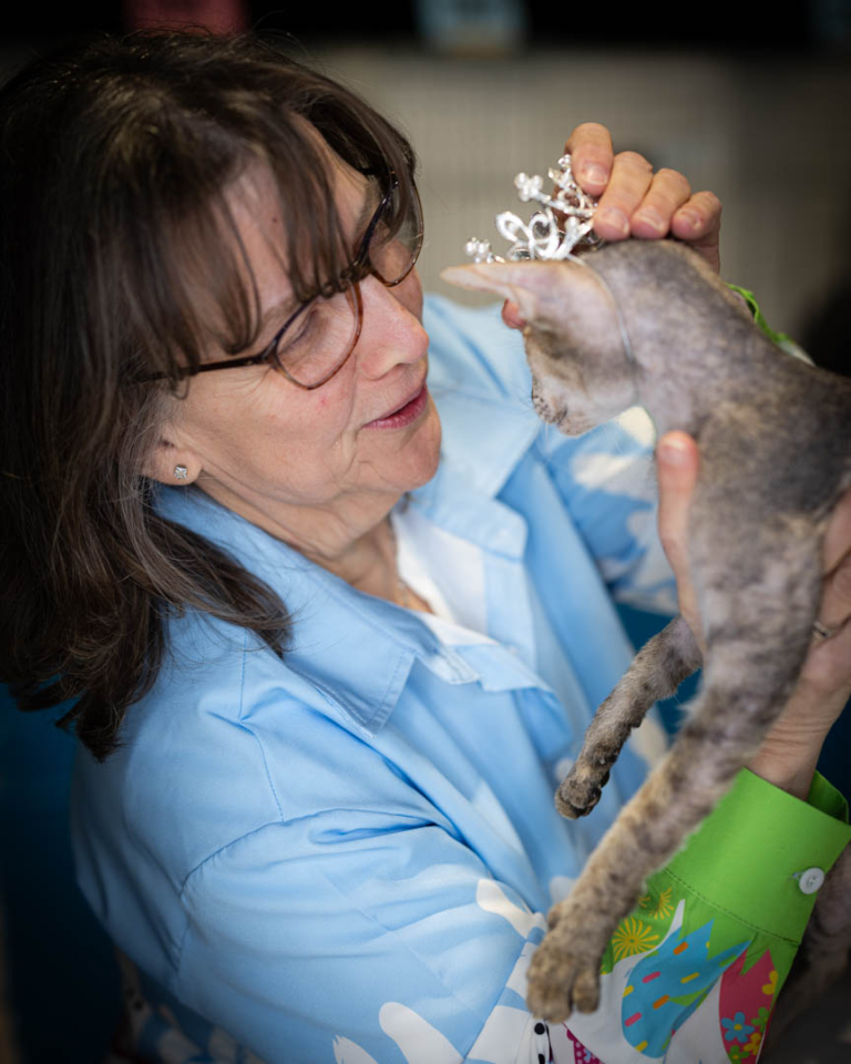 ragdolls-thames-tica-cat-show-apr-2026-07 ragdolls-thames-tica-cat-show-apr-2026-07