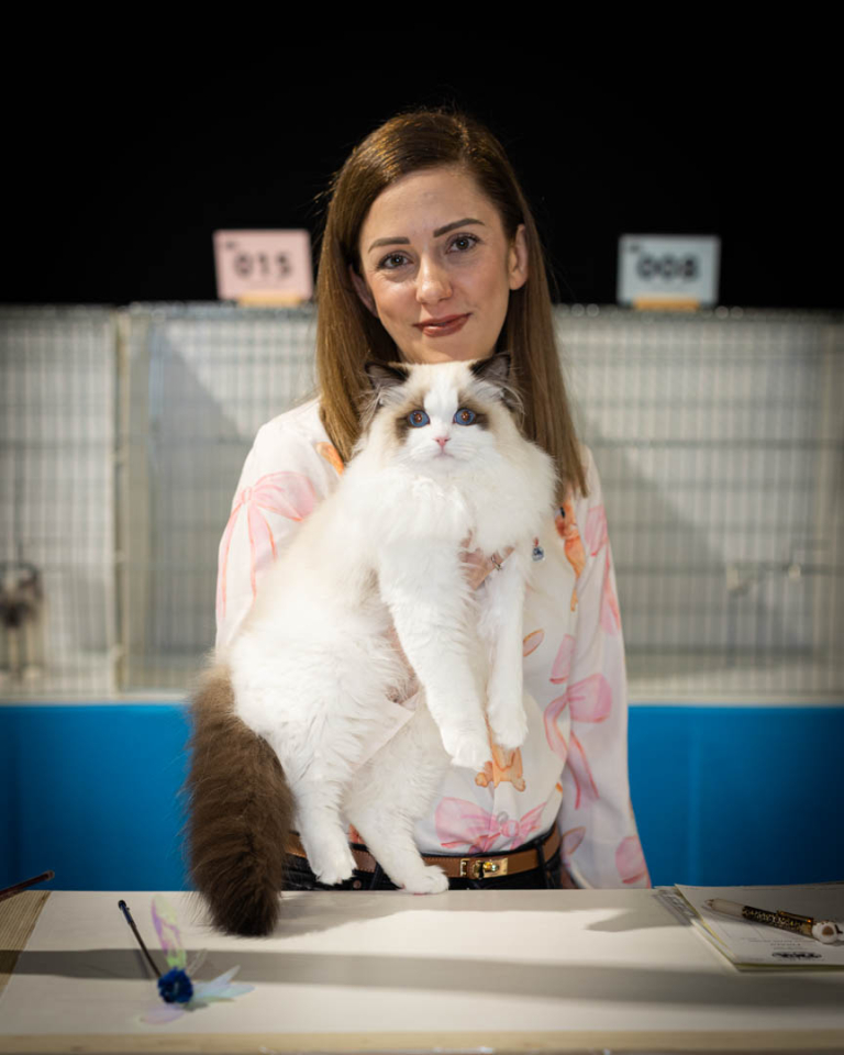 ragdolls-thames-tica-cat-show-apr-2026-17 ragdolls-thames-tica-cat-show-apr-2026-17