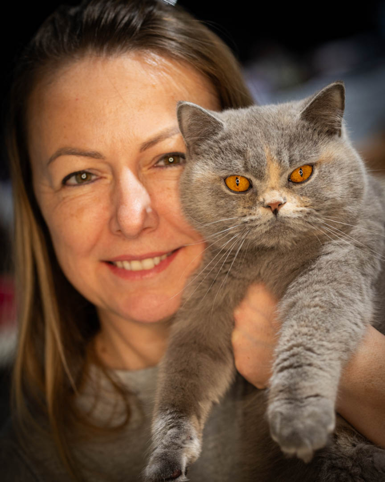 ragdolls-thames-tica-cat-show-apr-2026-58 ragdolls-thames-tica-cat-show-apr-2026-58