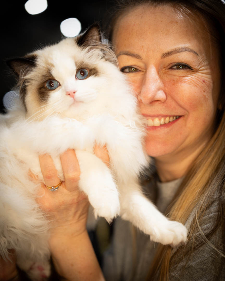 ragdolls-thames-tica-cat-show-apr-2026-59 ragdolls-thames-tica-cat-show-apr-2026-59
